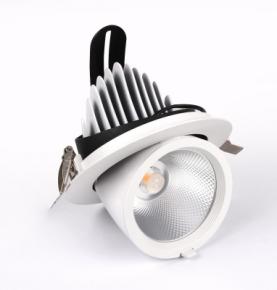 LED GIMBAL DOWNLIGHT SERIES