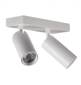 30W Spotlight Surface Mounted Downlight Dual LED Spotlight