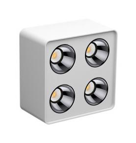 Surface Mounted LED Downlight With Four Modules 